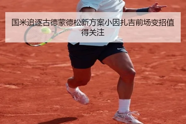 国米追逐古德蒙德松新方案小因扎吉前场变招值得关注 - DouYu